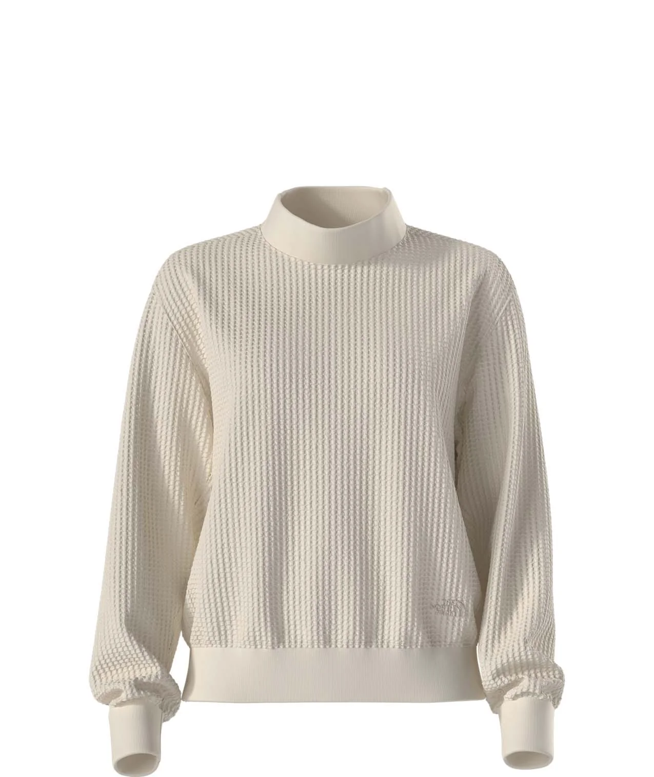 North Face Chabot 2.0 Mock-Neck (NF0A8HZV) Womens 2027