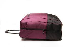 Axis Luxe Cargo Wheeled Bag